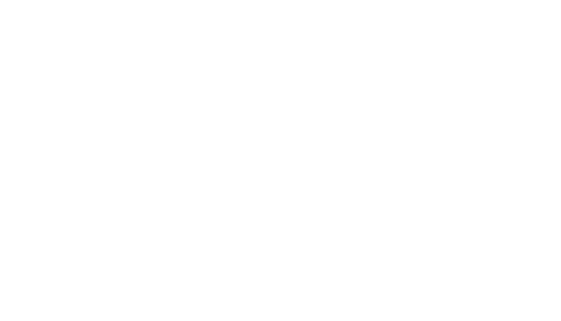 Slot's Eyes